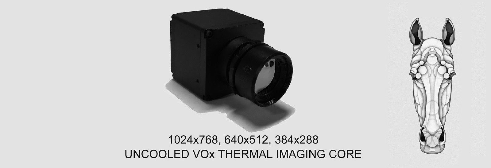 jakość Moduł kamery termicznej fabryka